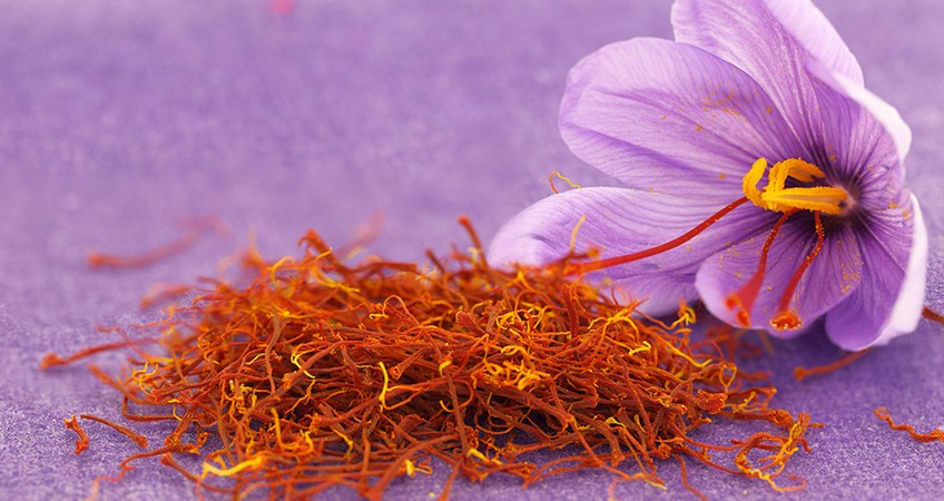10 công dụng của Saffron - nhụy hoa nghệ tây 