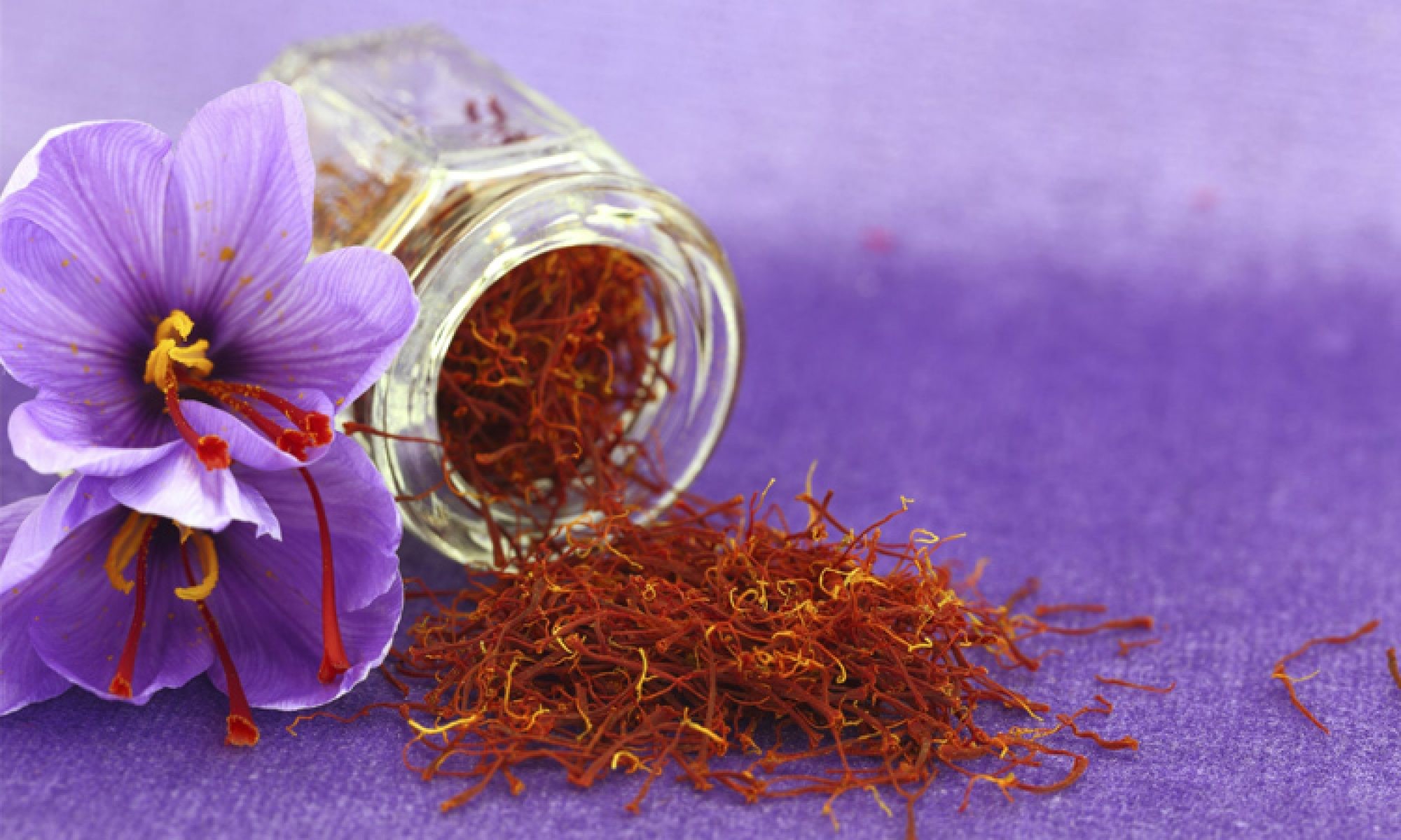 Cách sử dụng và top 4 sản phẩm nhụy hoa nghệ tây saffron chất lượng