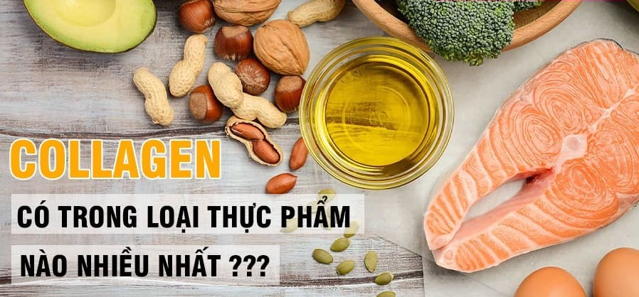 Collagen có trong thực phẩm nào? Top thực phẩm giàu collagen nhất