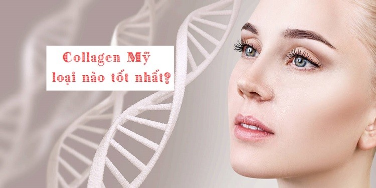 Collagen Mỹ loại nào tốt nhất? Top 5 Collagen tốt nhất nên mua
