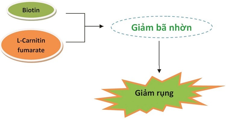 cải thiện rụng tóc