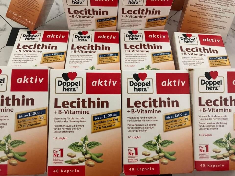 Tập trung trí tuệ, tăng cường hoạt động của não