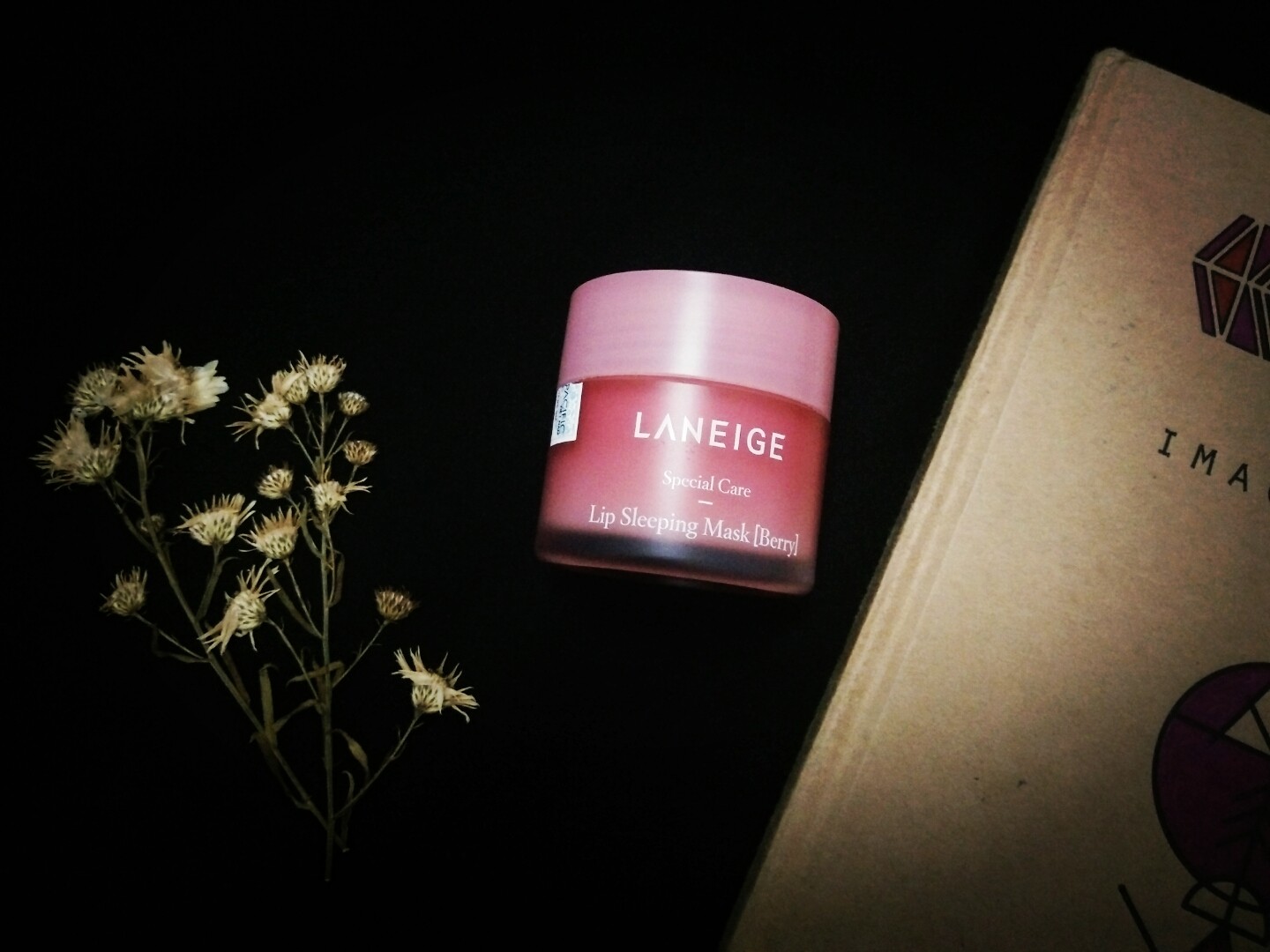 Đắp mặt nạ ngủ cho môi