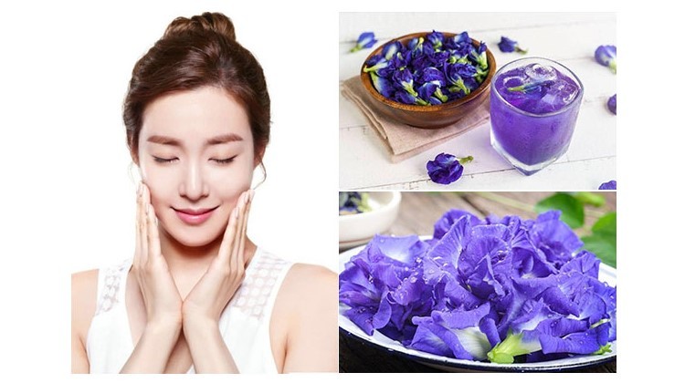 Cách làm đẹp bằng hoa đậu biếc ít ai ngờ đến lá hoa đậu biếc, hoa đậu biếc làm đẹp, làm gì với hoa đậu biếc, sử dụng hoa đậu biếc, làm đẹp với hoa đậu biếc, tác dụng làm đẹp của hoa đậu biếc, cách làm đẹp bằng hoa đậu biếc