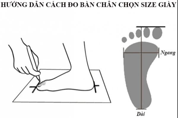 size giày domba, bảng size giày domba, cách đo size giày domba, chọn size giày domba, size giày domba hàn quốc