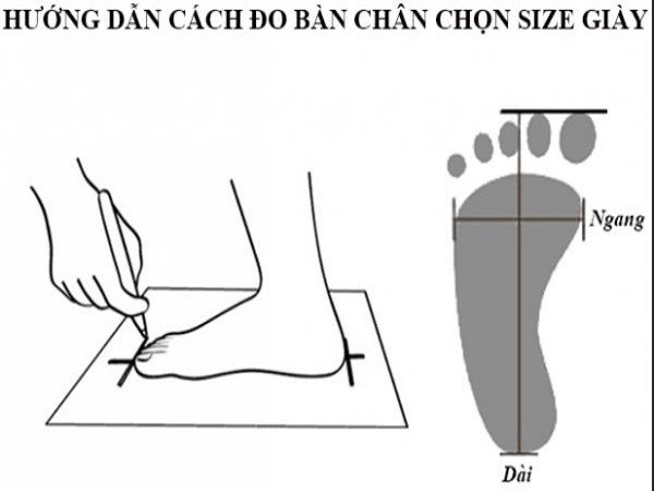 size giày puma nam, bảng size giày puma nam, cách chọn size giày puma nam, bảng quy đổi size giày puma nam, cách đo size giày puma nam