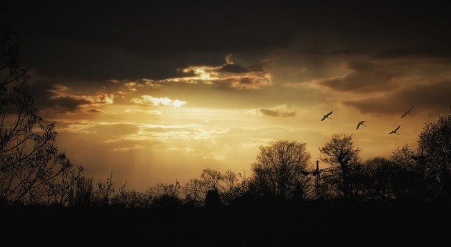 Ban đêm có tia UV không